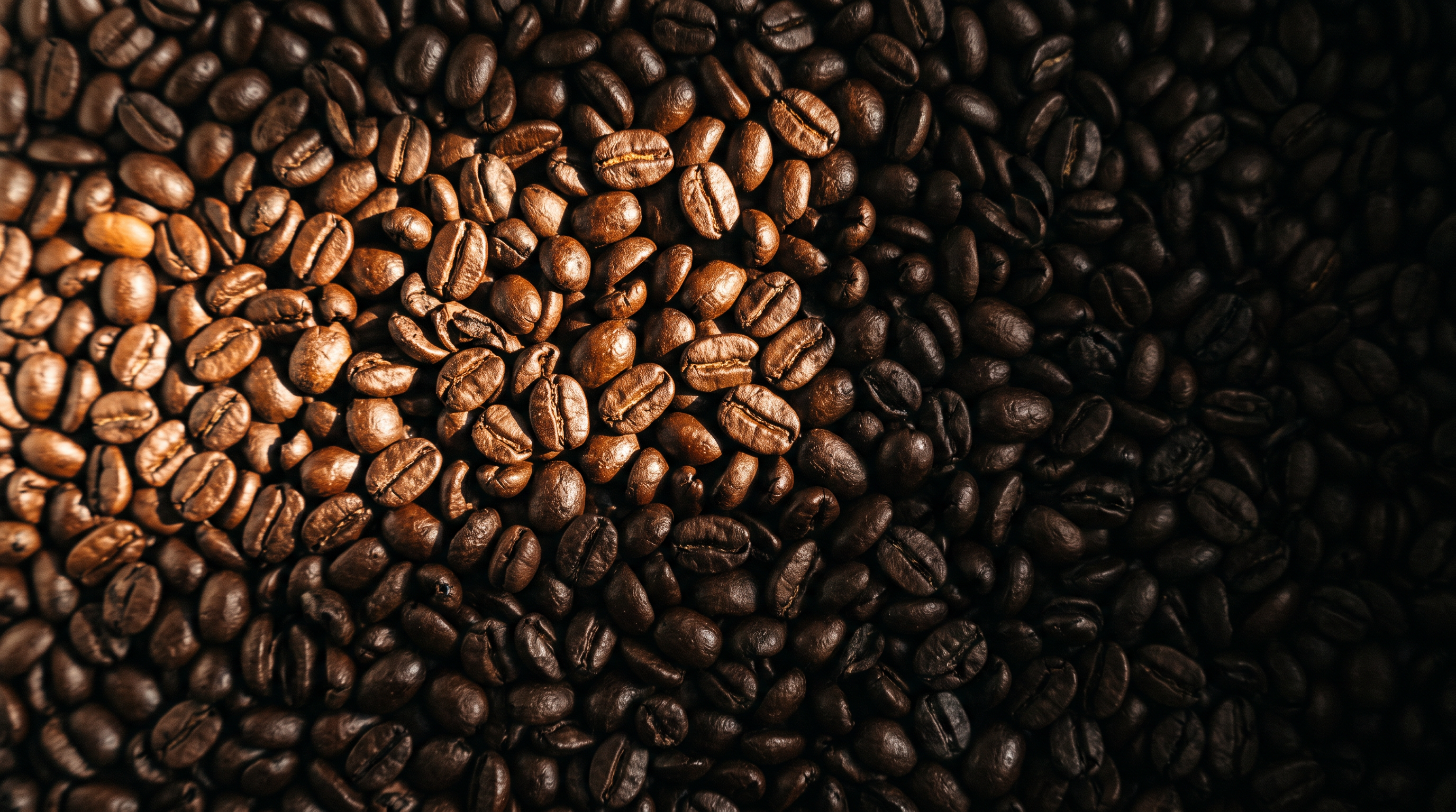 Roasted coffee beans moving from copper light into shadow